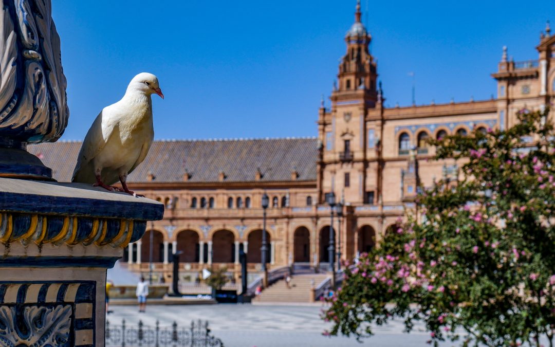 Espectáculo flamenco en Sevilla y arte
