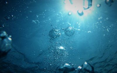 Inicio 2 Reduce el consumo de agua en tu casa ecológica