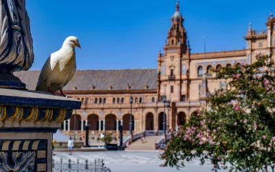 Inicio 4 Espectáculo flamenco en Sevilla y arte