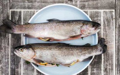 Añade pescado a tu menú