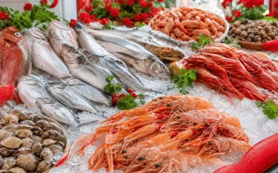 Inicio 6 Comprar marisco en Sevilla: qué valorar para elegir producto y proveedor